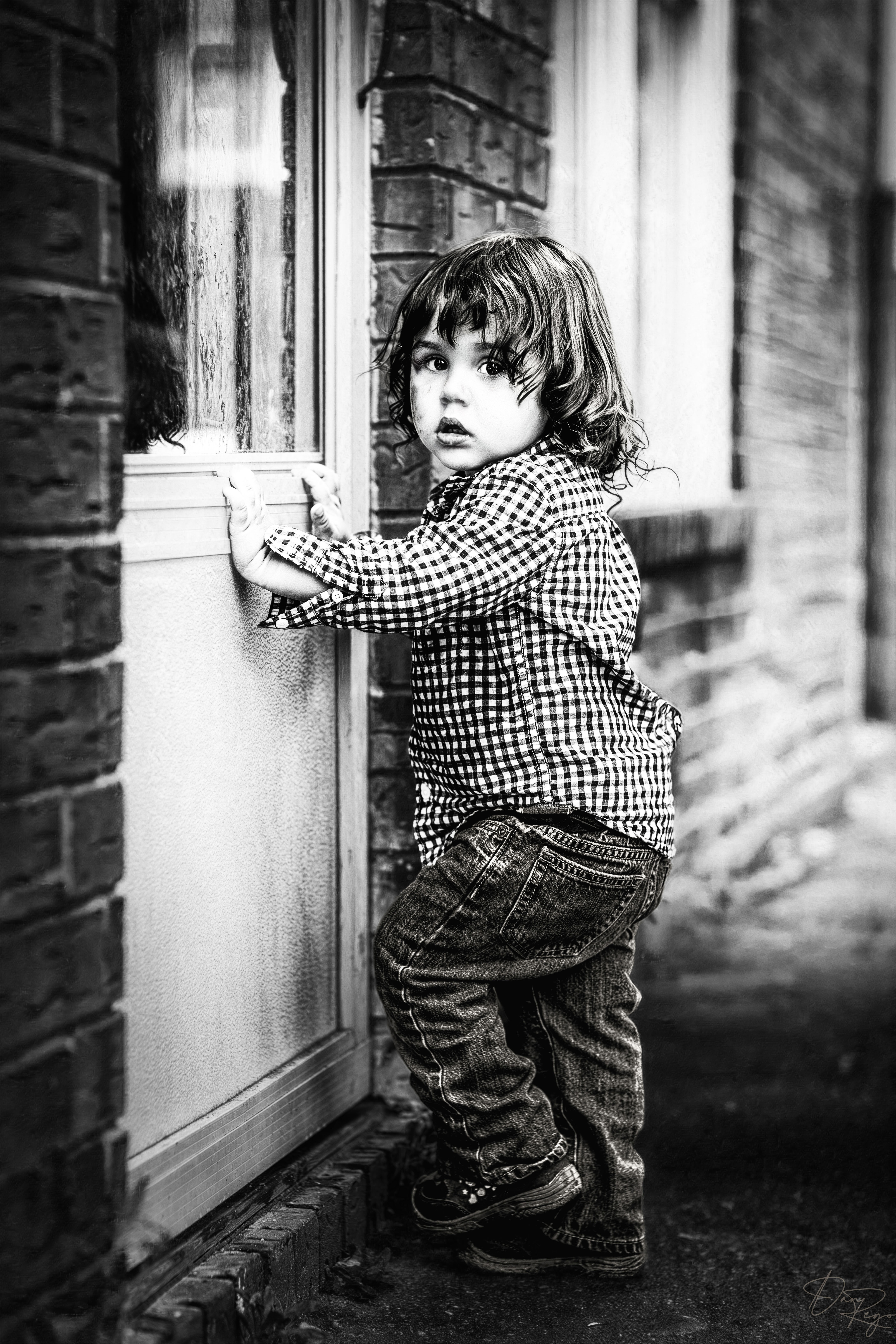 © Daniel G. Rego; Dan Rego; GUIMARAES REGO, Daniel; danrego.com; Studio Appa; Studio Appa PBC; Intellectual LLC; Studio Appa. All Rights Reserved.