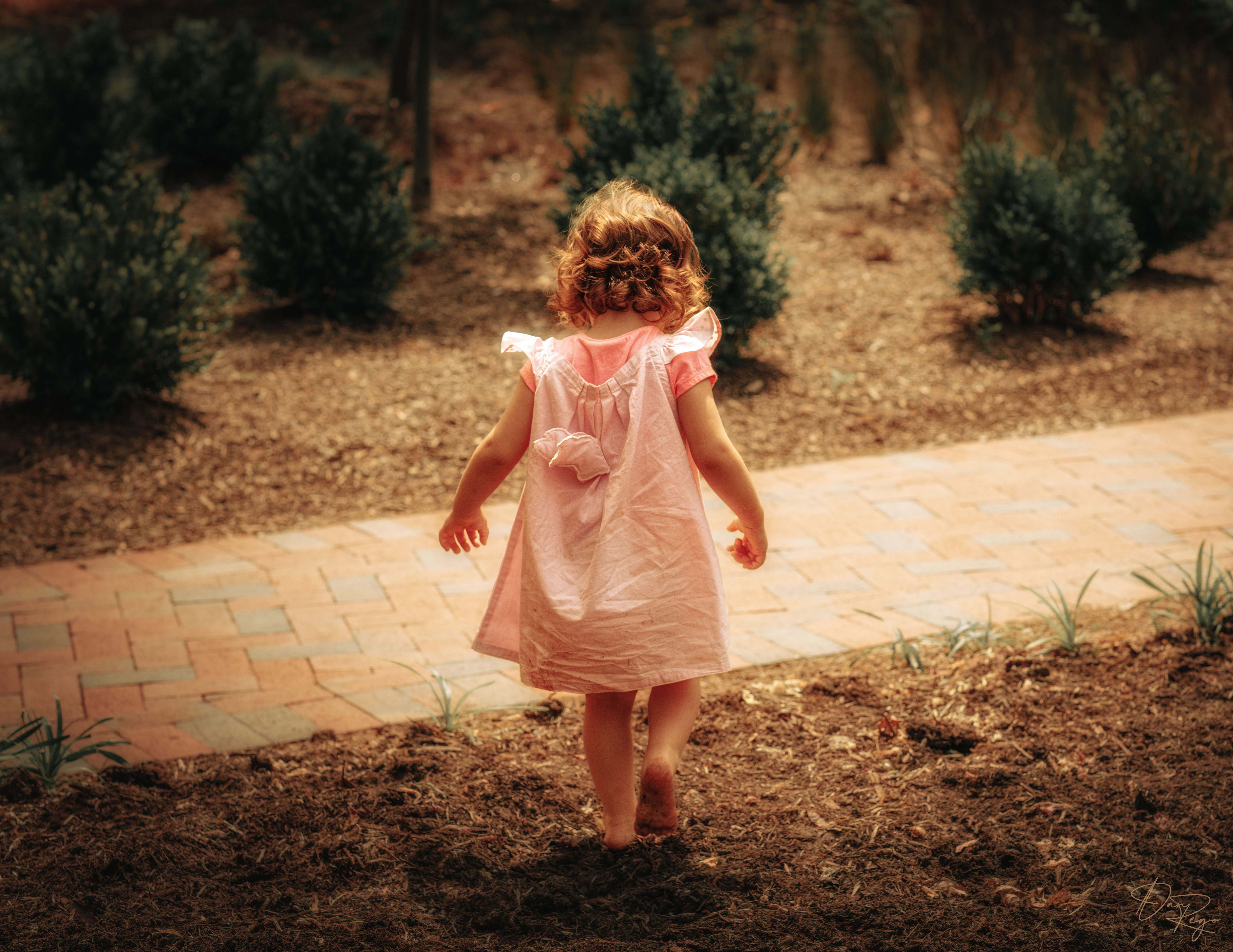 © Daniel G. Rego; Dan Rego; GUIMARAES REGO, Daniel; danrego.com; Studio Appa; Studio Appa PBC; Intellectual LLC; Studio Appa. All Rights Reserved.