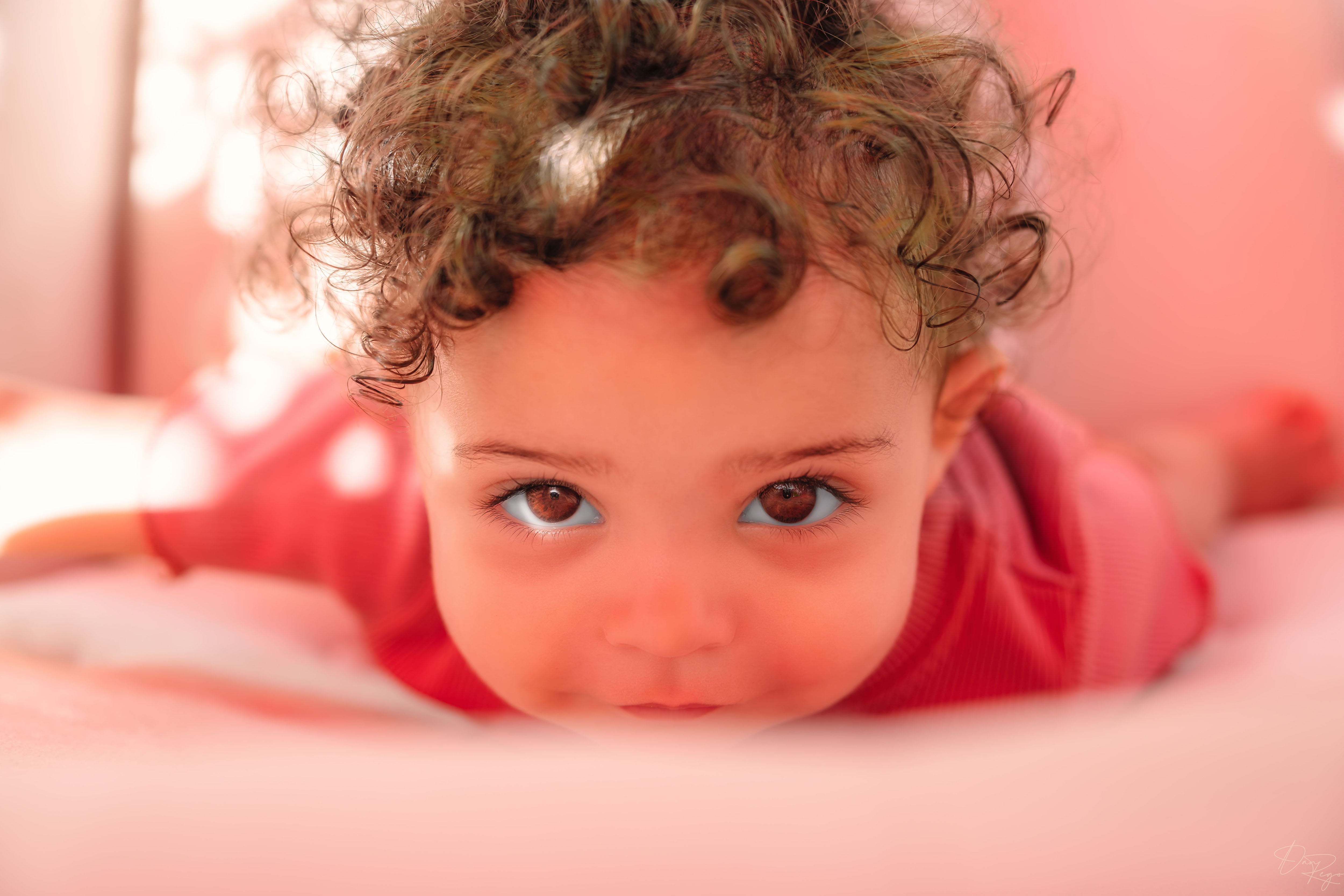 © Daniel G. Rego; Dan Rego; GUIMARAES REGO, Daniel; danrego.com; Studio Appa; Studio Appa PBC; Intellectual LLC; Studio Appa. All Rights Reserved.