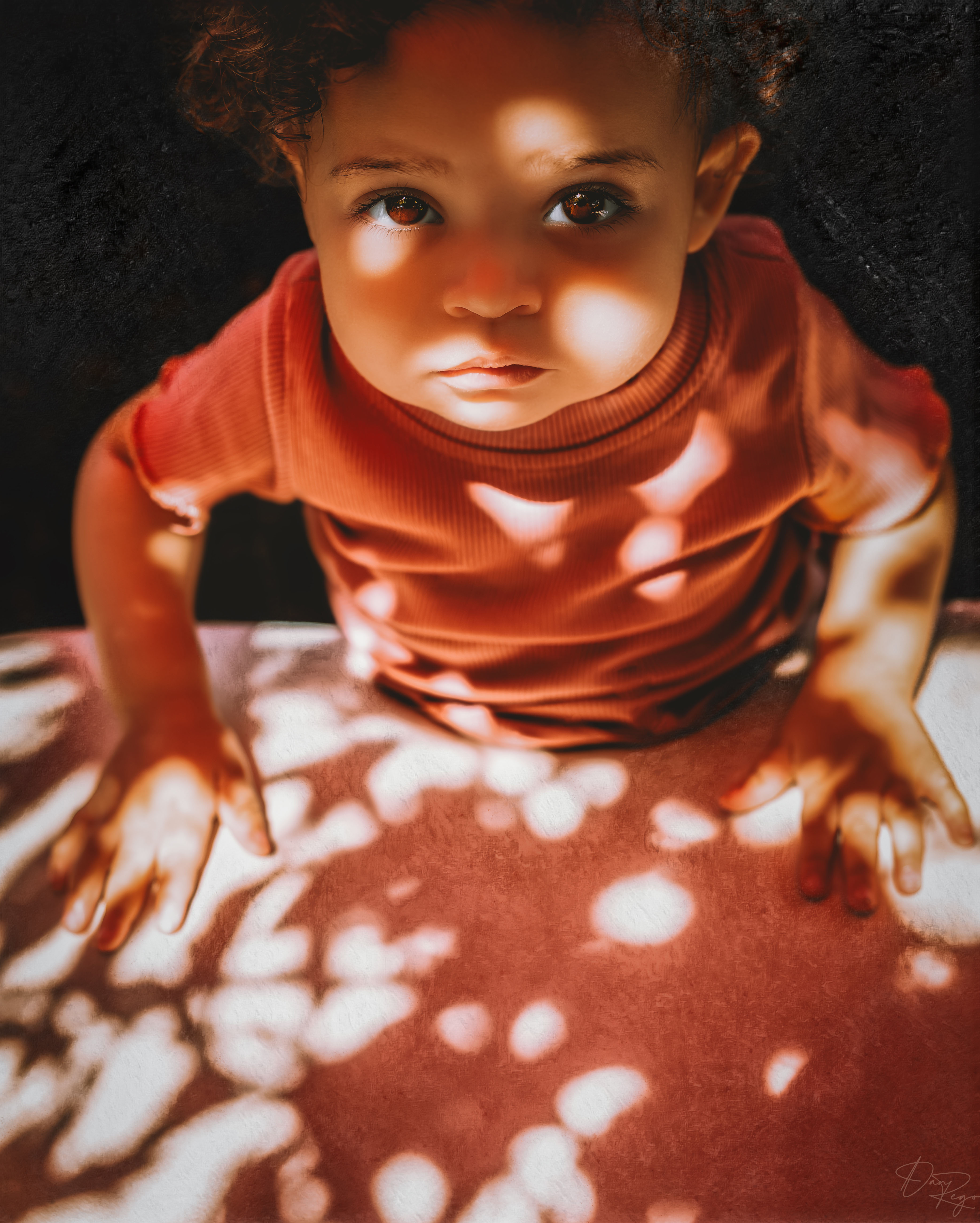 © Daniel G. Rego; Dan Rego; GUIMARAES REGO, Daniel; danrego.com; Studio Appa; Studio Appa PBC; Intellectual LLC; Studio Appa. All Rights Reserved.