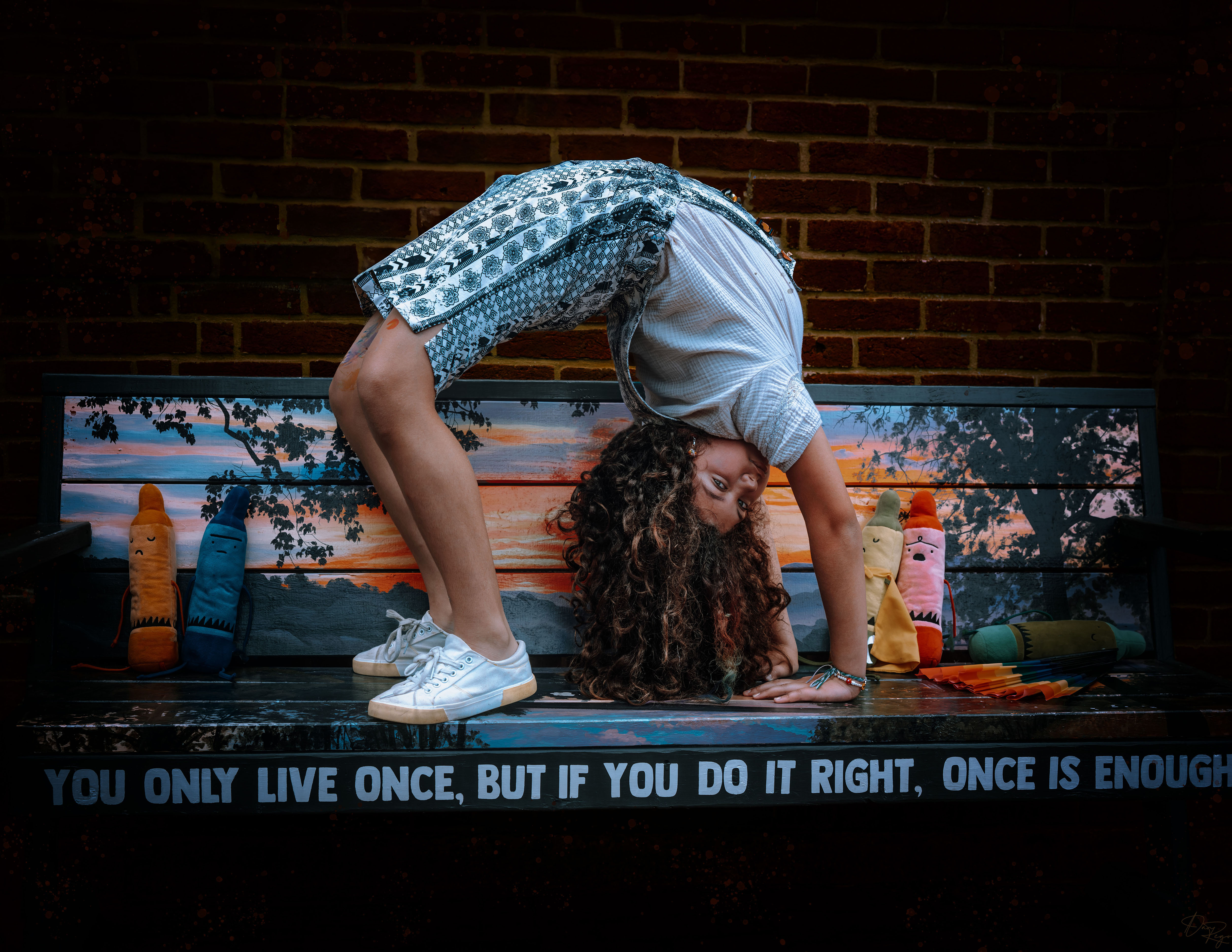 © Daniel G. Rego; Dan Rego; GUIMARAES REGO, Daniel; danrego.com; Studio Appa; Studio Appa PBC; Intellectual LLC; Studio Appa. All Rights Reserved.