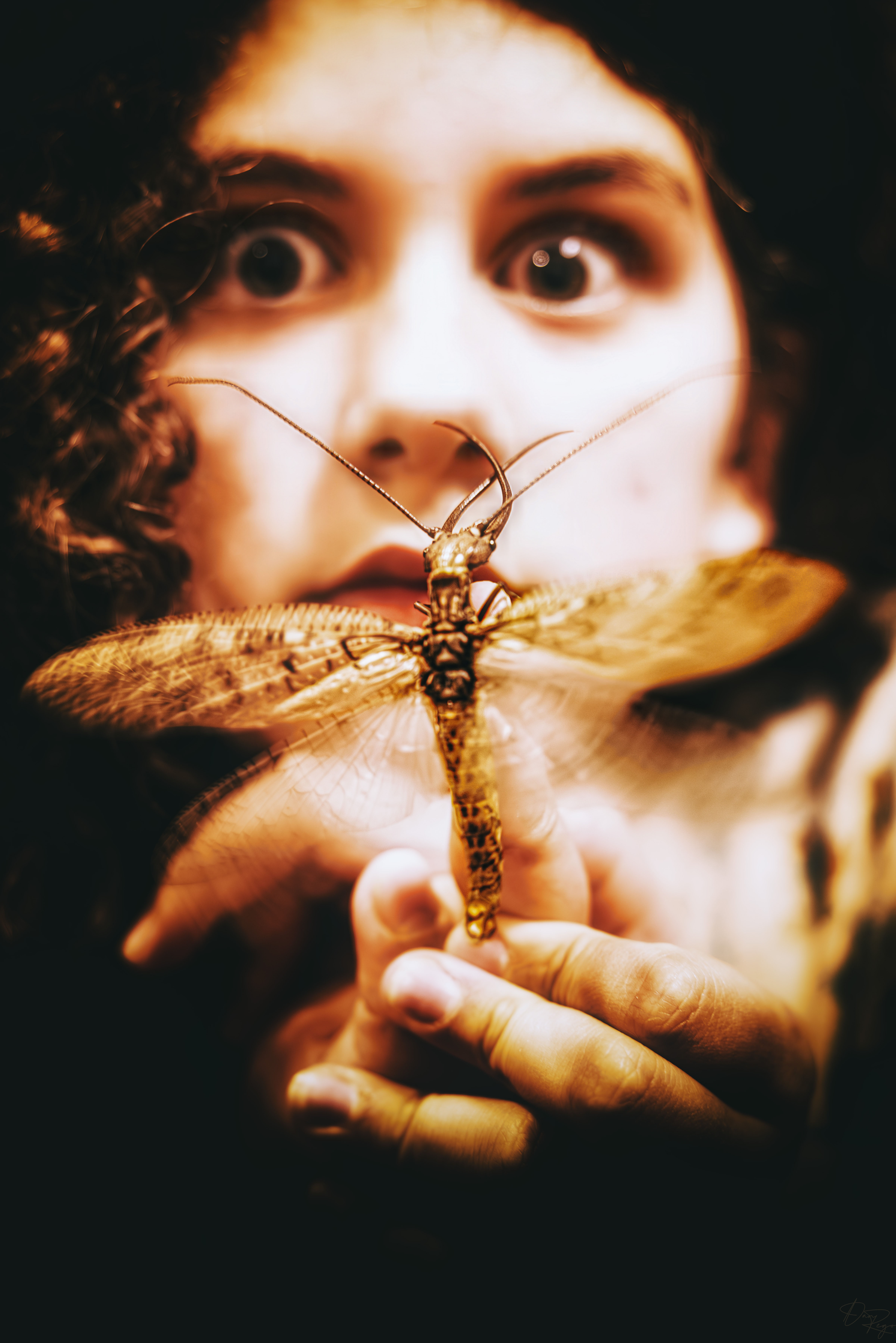 © Daniel G. Rego; Dan Rego; GUIMARAES REGO, Daniel; danrego.com; Studio Appa; Studio Appa PBC; Intellectual LLC; Studio Appa. All Rights Reserved.