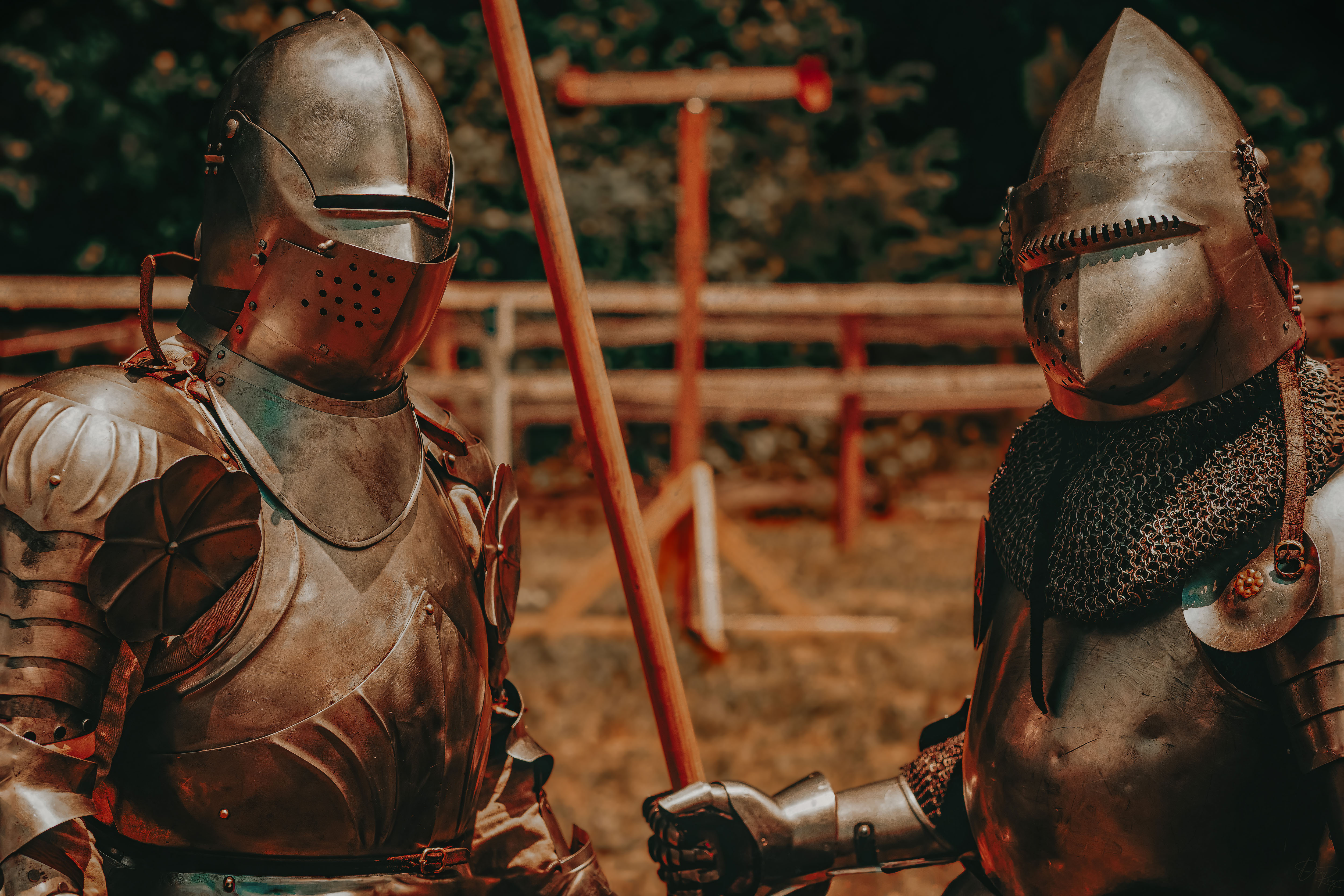 © Daniel G. Rego; Dan Rego; GUIMARAES REGO, Daniel; danrego.com; Studio Appa; Studio Appa PBC; Intellectual LLC; Studio Appa. All Rights Reserved.