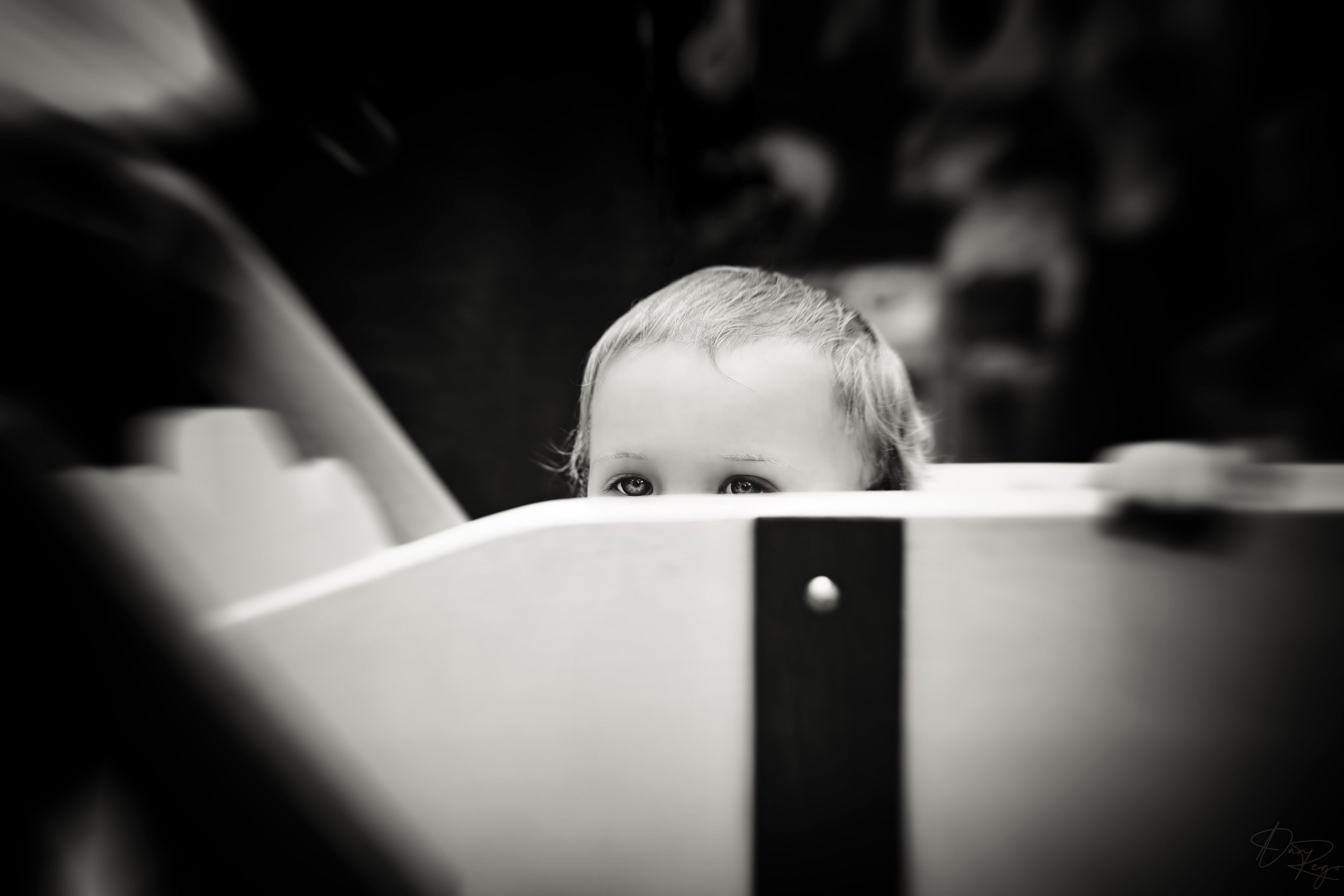 © Daniel G. Rego; Dan Rego; GUIMARAES REGO, Daniel; danrego.com; Studio Appa; Studio Appa PBC; Intellectual LLC; Studio Appa. All Rights Reserved.