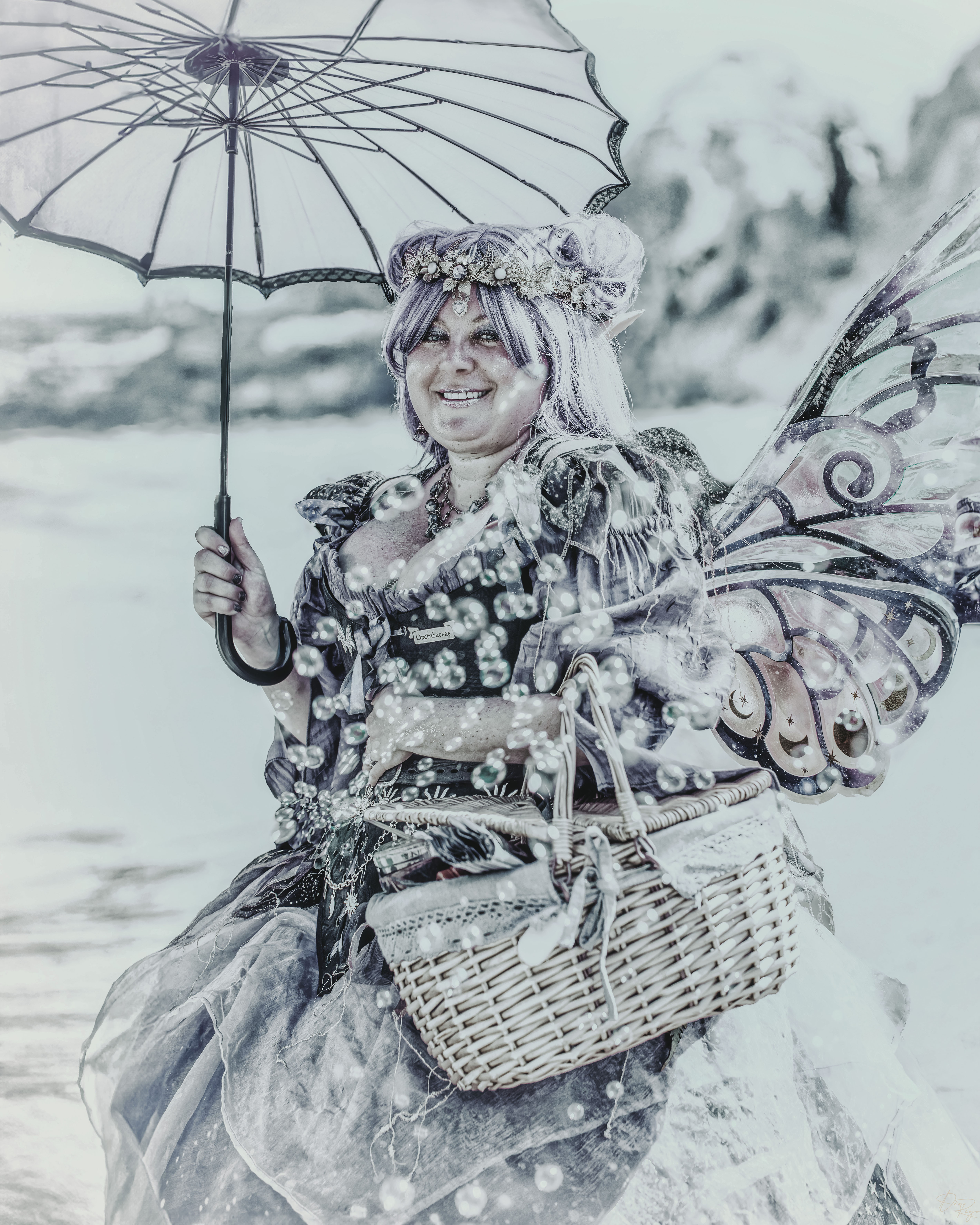 © Daniel G. Rego; Dan Rego; GUIMARAES REGO, Daniel; danrego.com; Studio Appa; Studio Appa PBC; Intellectual LLC; Studio Appa. All Rights Reserved.