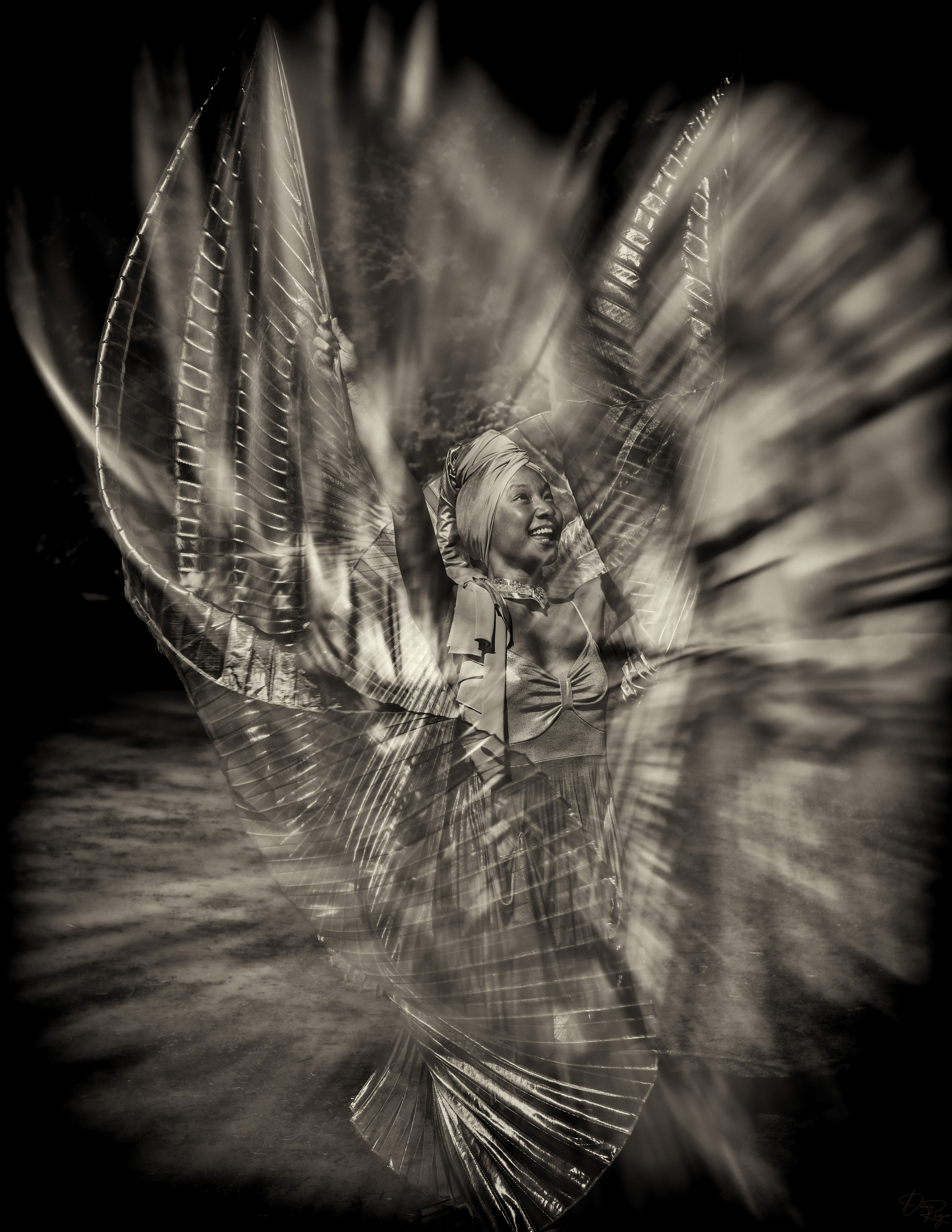 © Daniel G. Rego; Dan Rego; GUIMARAES REGO, Daniel; danrego.com; Studio Appa; Studio Appa PBC; Intellectual LLC; Studio Appa. All Rights Reserved.