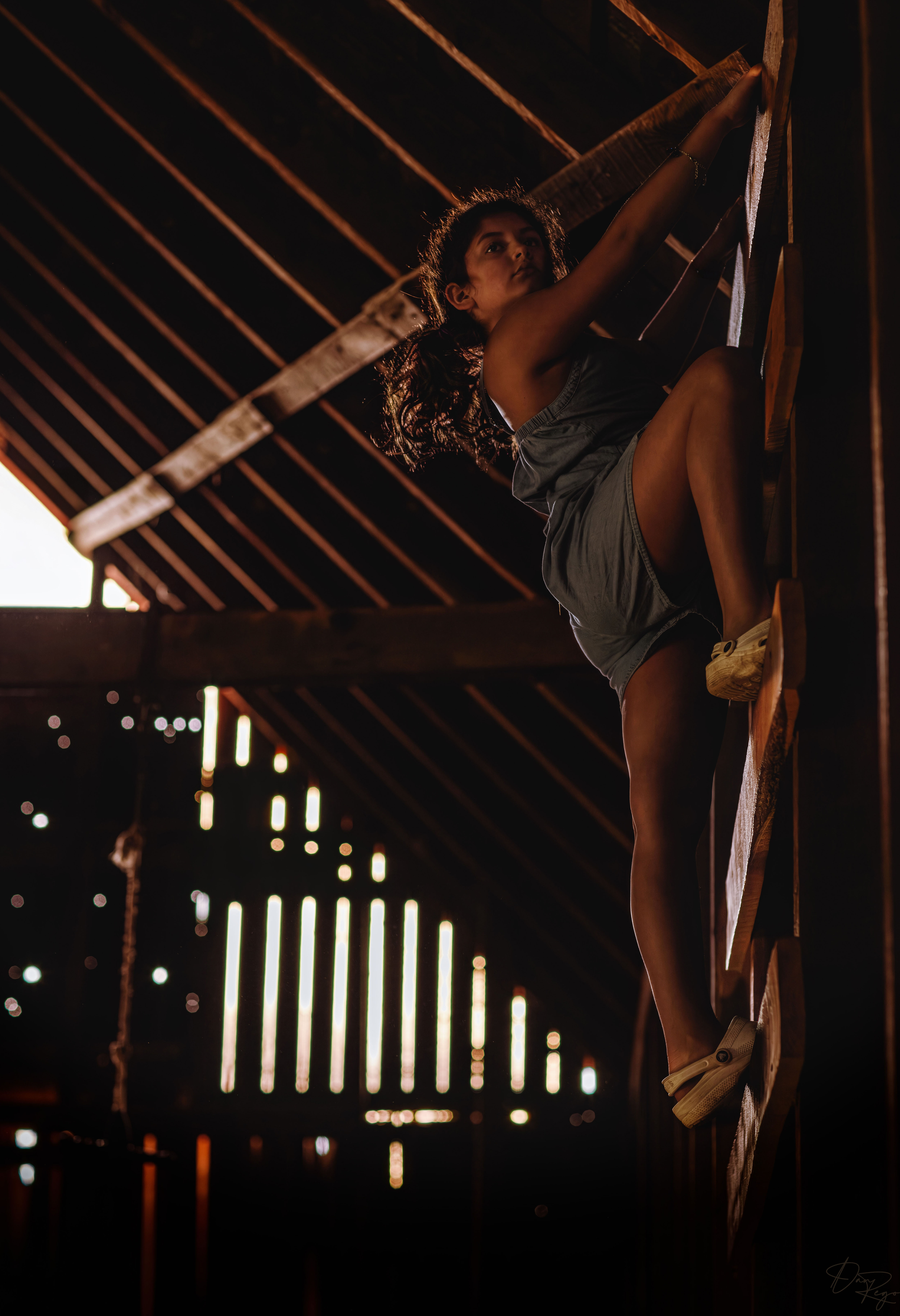 © Daniel G. Rego; Dan Rego; GUIMARAES REGO, Daniel; danrego.com; Studio Appa; Studio Appa PBC; Intellectual LLC; Studio Appa. All Rights Reserved.