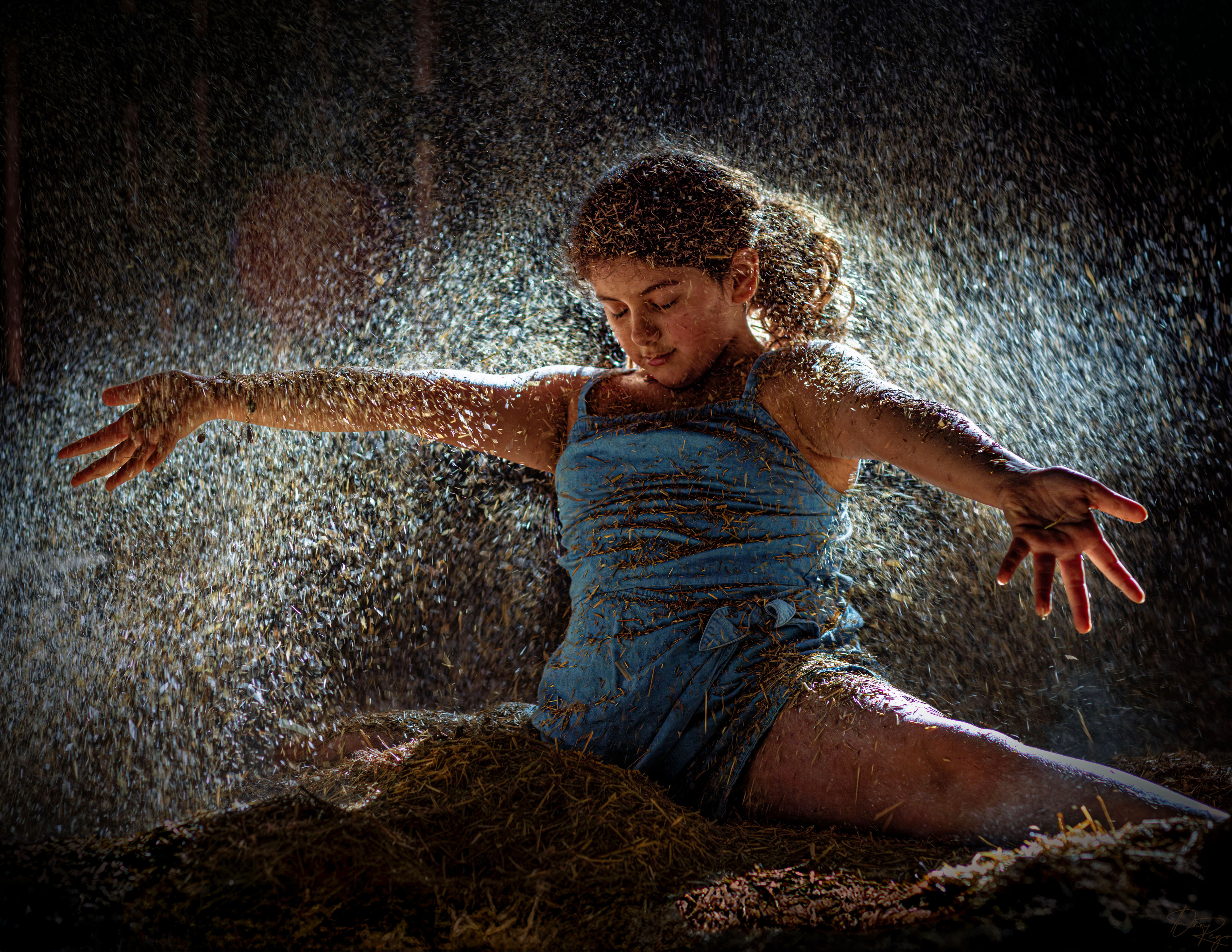 © Daniel G. Rego; Dan Rego; GUIMARAES REGO, Daniel; danrego.com; Studio Appa; Studio Appa PBC; Intellectual LLC; Studio Appa. All Rights Reserved.