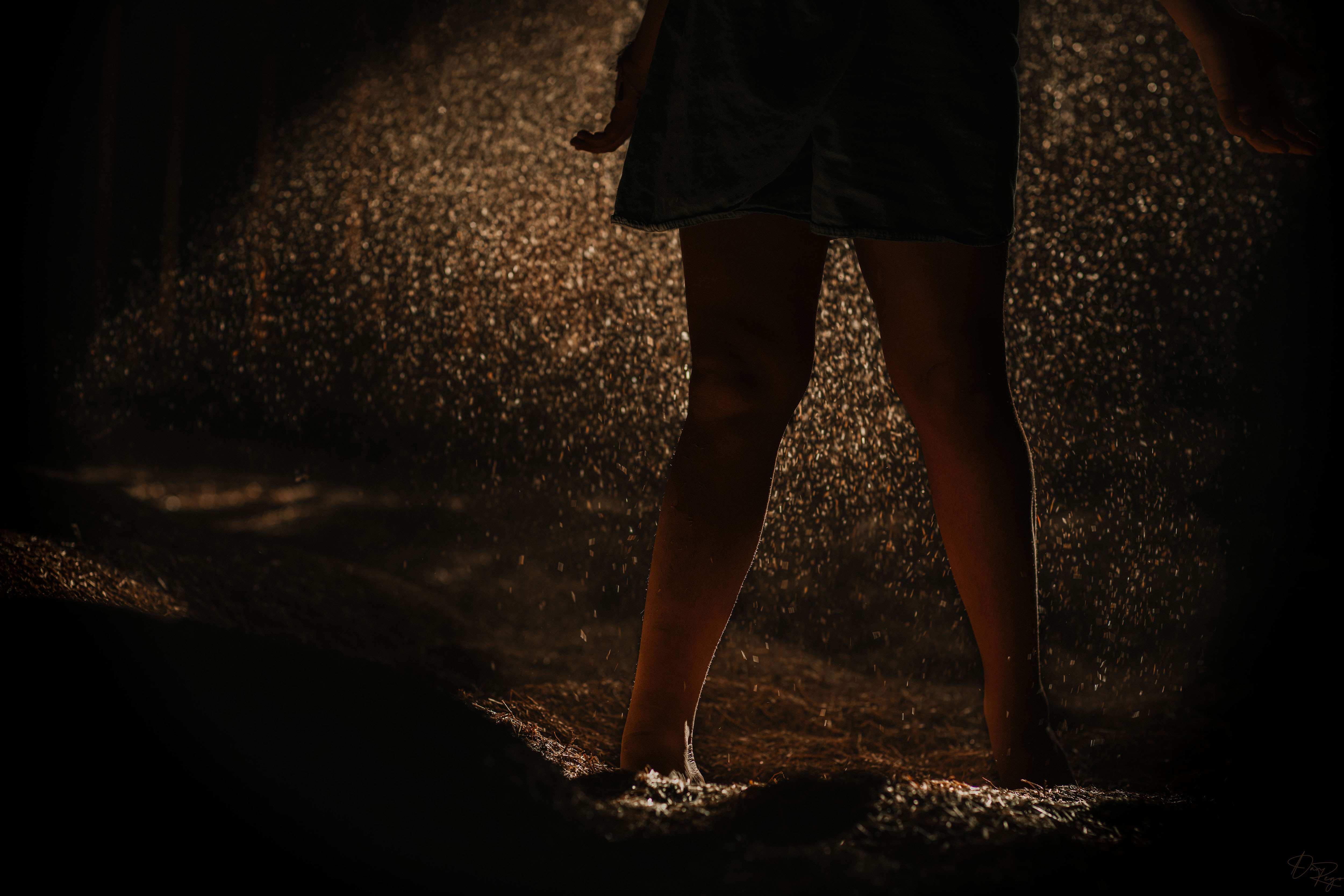 © Daniel G. Rego; Dan Rego; GUIMARAES REGO, Daniel; danrego.com; Studio Appa; Studio Appa PBC; Intellectual LLC; Studio Appa. All Rights Reserved.