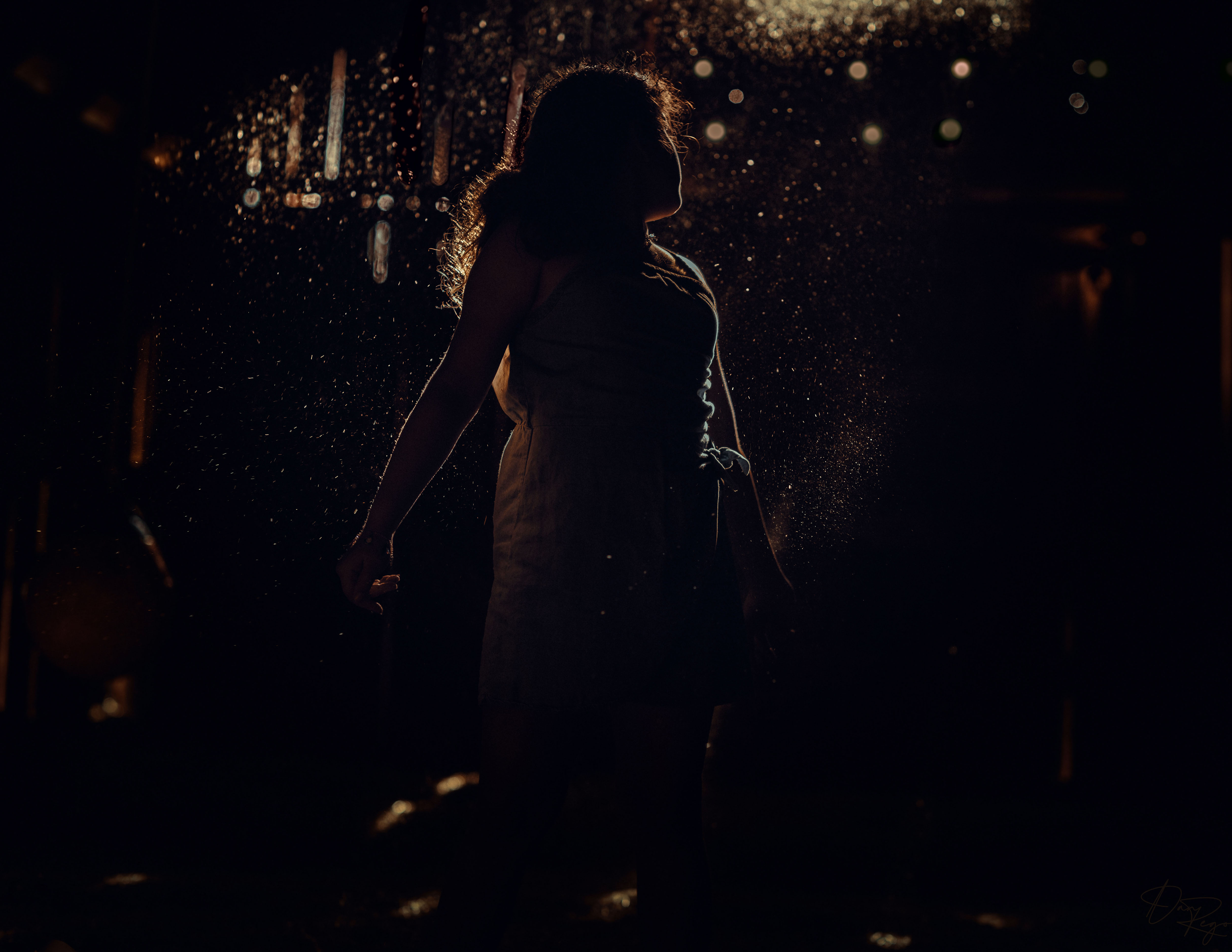 © Daniel G. Rego; Dan Rego; GUIMARAES REGO, Daniel; danrego.com; Studio Appa; Studio Appa PBC; Intellectual LLC; Studio Appa. All Rights Reserved.