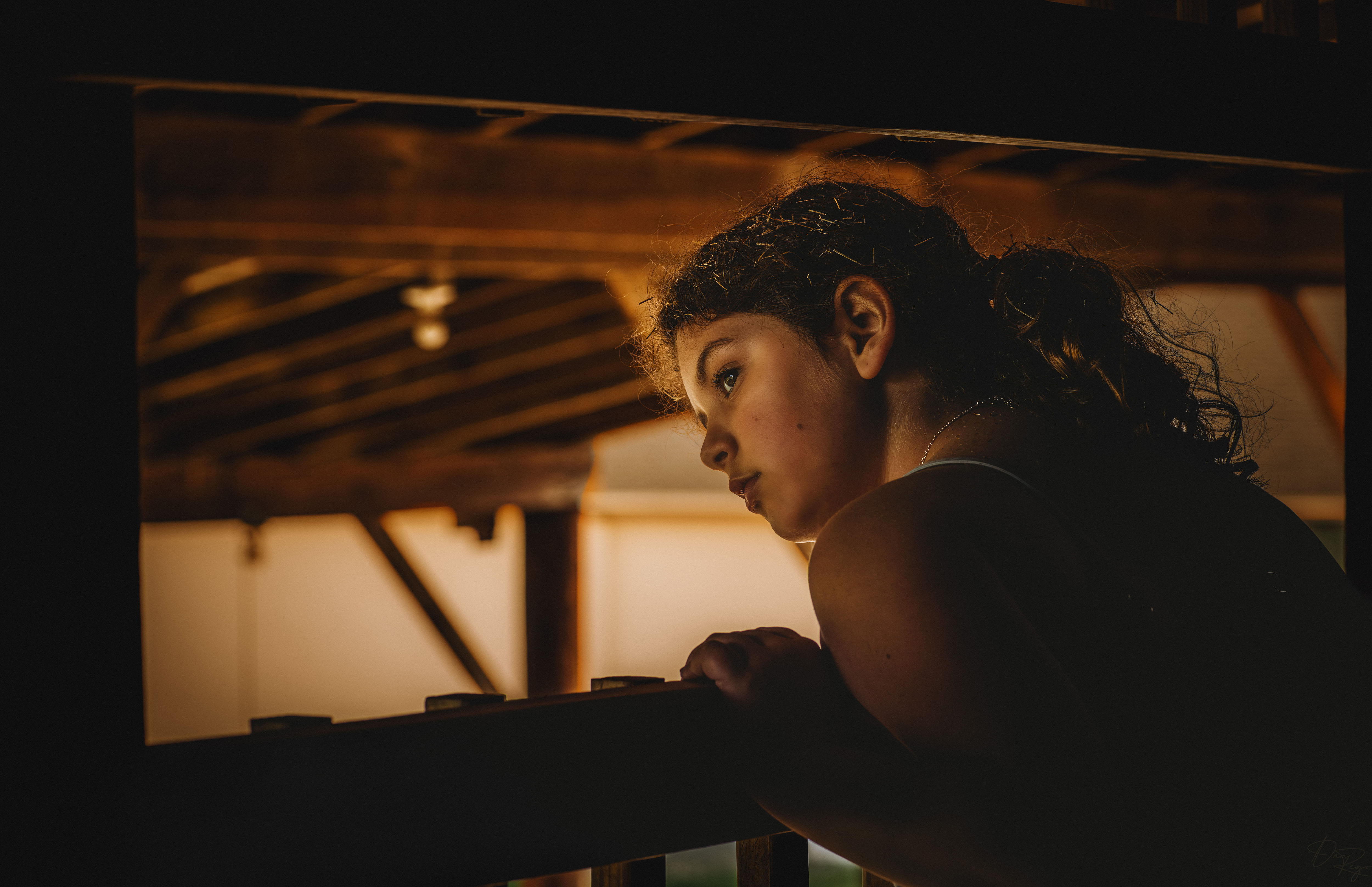 © Daniel G. Rego; Dan Rego; GUIMARAES REGO, Daniel; danrego.com; Studio Appa; Studio Appa PBC; Intellectual LLC; Studio Appa. All Rights Reserved.